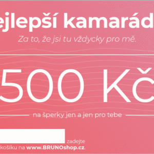 Elektronický poukaz PRO KAMARÁDKU 500 Kč